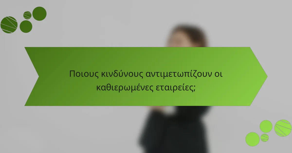 Ποιους κινδύνους αντιμετωπίζουν οι καθιερωμένες εταιρείες;